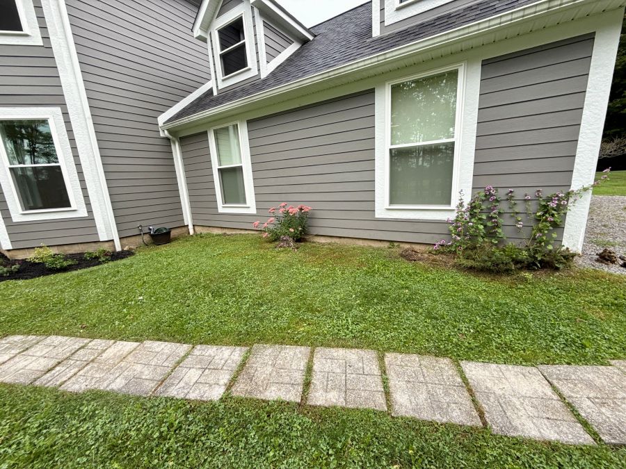 Overgrown area in front of the garage windows before clearing.