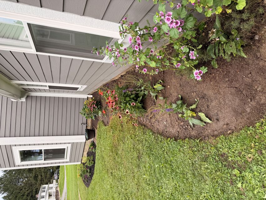 Side view of the newly planted front bed.