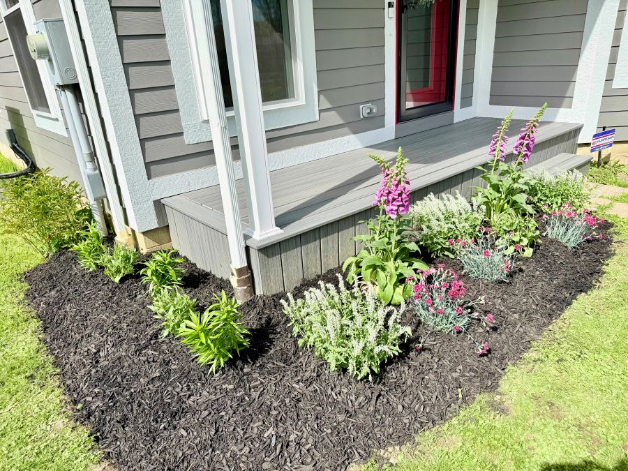 Newly tilled front garden bed with topsoil and perennial plantings.