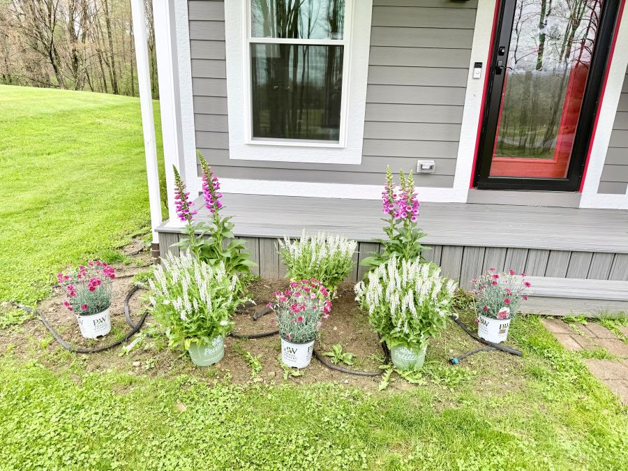 Planning the planting
