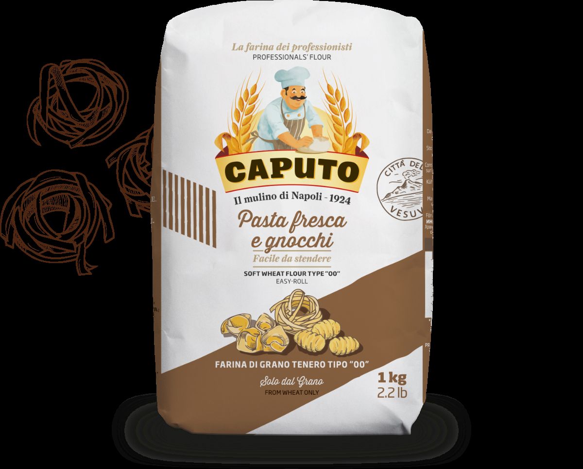 Freshly kneaded pasta dough showing a smooth, elastic texture